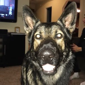 Meet your Posher, Joe